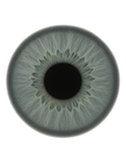 Sky Gray