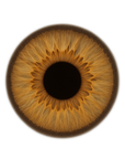 Dream Hazel